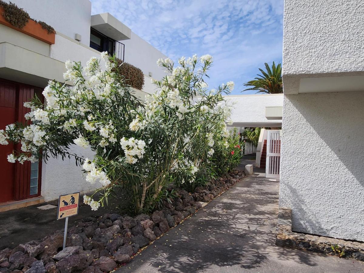 Apartmán Casa De Mariposas Costa Del Silencio Exteriér fotografie